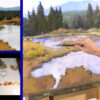 Shanna Kunz landscape painting